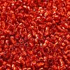 Glass Seed Beads SEED-S042-04B-10-3