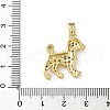 Brass Micro Pave Cubic Zirconia Pendants ZIRC-I356-01G-01-3