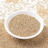 MIYUKI Round Rocailles Beads X-SEED-G007-RR1003-2