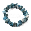Natural Apatite Beads Strands G-I283-F23-3