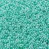 MIYUKI Round Rocailles Beads SEED-X0055-RR0536-3