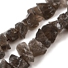 Natural Smoky Quartz Beads Strands G-I283-F13-2