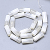 Natural Two Tone Agate Beads Strands G-T122-35G-2
