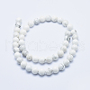 Natural Howlite Beads Strands X-G-P353-01-8mm-2