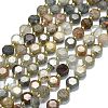 Natural Lodolite Quartz Beads Strands G-C116-A109-01-2
