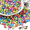 Baking Painted Glass Seed Beads SEED-C004-01V-1