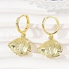 Brass Hoop Earrings EJEW-Q036-03A-G-4