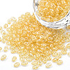 Transparent Czech Glass Seed Beads SEED-N004-005-C04-1