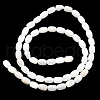 Natural Freshwater Shell Beads Strands SHEL-R129-02-3