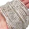 Natural White Moonstone Beads Strands G-Z058-A01-01-2