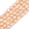 Natural Cultured Freshwater Pearl Beads Strands PEAR-P064-20J-03B-2
