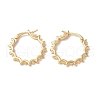 Brass Hoop Earring Finding KK-P223-24G-1