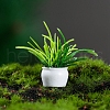 Resin Plant Potted Ornaments PW-WG50997-02-1