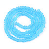 Frosted Transparent Glass Beads Strands GLAA-N016-4mm-06-2