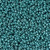 MIYUKI Round Rocailles Beads SEED-JP0008-RR1075-3