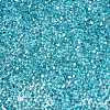 Baking Paint Transparent Glass Seed Beads SEED-N006-05K-3