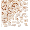 Natural Spiral Shell Beads BSHE-PH0001-03-7
