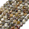 Natural Gobi Agate Beads Strands G-K389-B72-01-2