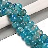 Natural Agate Beads Strands G-L595-A01-01E-2