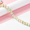 Handmade Lampwork Beads Strands LAMP-D015-11A-4