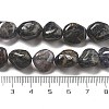 Natural Iolite Beads Strands G-C179-F06-01-5