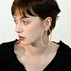 Beebeecraft 3 Pairs Brass Hoop Earrings for Women EJEW-BBC0001-66G-05-5