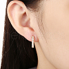 Cubic Zirconia Brass Hoop Earrings EJEW-BB14966-A-6