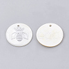 Freshwater Shell Pendants SHEL-T009-12P-2