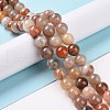 Natural Botswana Agate Beads Strands G-G925-01A-2