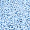 Opaque Colours Luster Glass Seed Beads SEED-T006-02B-2