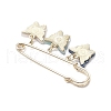 Butterfly Alloy Acrylic Pendant Brooches JEWB-BR00184-01-4