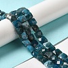 Natural Apatite Beads Strands G-C109-A13-02-2