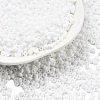 Frosted Opaque Glass Seed Beads SEED-R029-2mm-A01-1