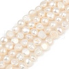 Natural Cultured Freshwater Pearl Beads Strands PEAR-P064-19G-04A-2