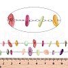 Handmade Dyed Shell Beads Chains CHS-T006-14P-A-3