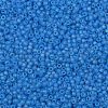 TOHO Round Seed Beads SEED-XTR11-0163BF-2
