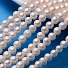 Potato Natural Cultured Freshwater Pearl Beads Strands PEAR-E007-7-8mm-AAA-01-1