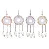 Acrylic Woven Net/Web with Feather Pendant Decorations HJEW-JM02352-1