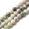 Natural Peace Jade Beads Strands G-E598-04C-2