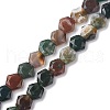 Natural Indian Agate Beads Strands G-K359-C14-01-1