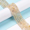 Natural Gold Rutilated Quartz Beads Strands X-G-C009-C04-2