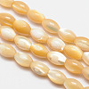 Natural Sea Shell Oval Bead Strands SSHEL-M016-01B-1