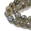 Natural Labradorite Beads Strands G-U017-6mm-01-4