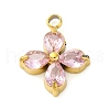 304 Stainless Steel Micro Pave Cubic Zirconia Pendants STAS-U042-06G-01-1