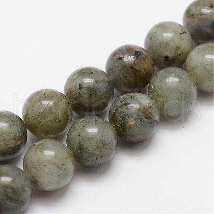 Natural Labradorite Bead Strands G-O155-05B-6mm-1