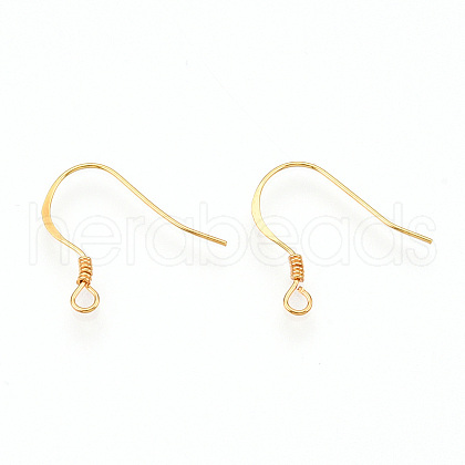 925 Sterling Silver French Hooks with Coil STER-T007-119G-1