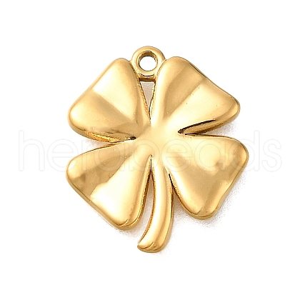 304 Stainless Steel Charms STAS-R159-09G-1