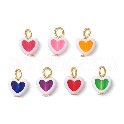 Transparent Acrylic Pendants PALLOY-JF03547-1