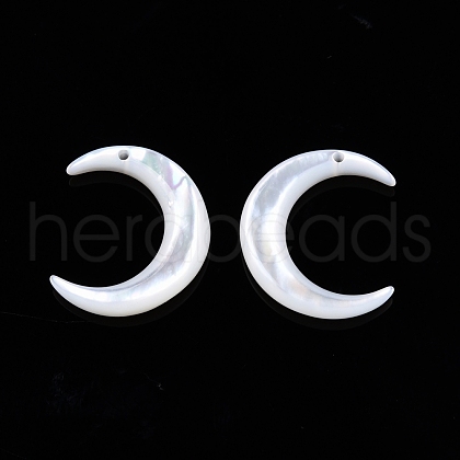 Natural Freshwater Shell Charms SSHEL-N032-55B-1