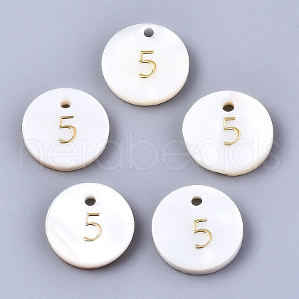 Natural Freshwater Shell Charms SHEL-Q023-05-1